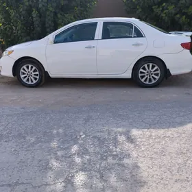 Toyota Corolla 2010