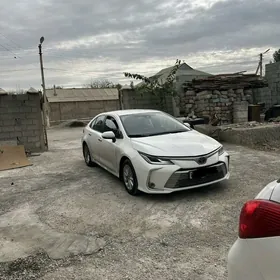 Toyota Corolla 2020