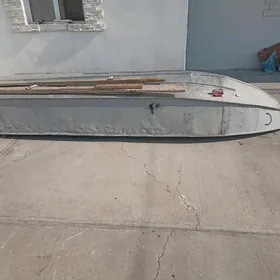 lotka akany kici gornusi