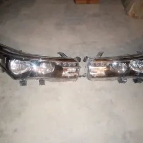 fara karola2014 2015