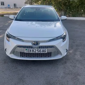 Toyota Corolla 2020