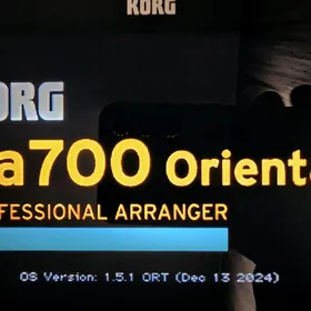 Korg pa700 oriental