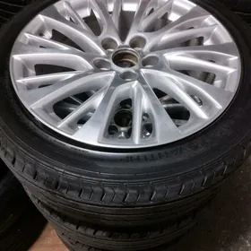 diska pakryska 18lik