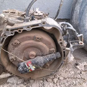 karopka 5 skors 13 fişga