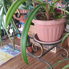 кованая подставка с цветами