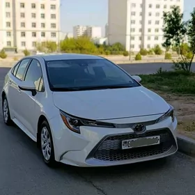 Toyota Corolla 2021