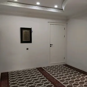 haly 2 sany 2.0x4.80