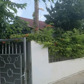 Büzmeýin eýesinden ýer jaý