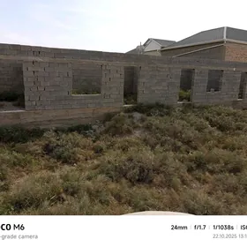 Mellek ÿer Gökdepe