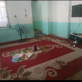 SATLYK JAY  MİR KOCE