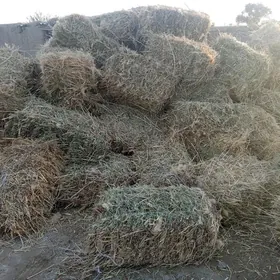 gamyş yandak garyşyk pres