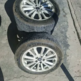 karola diska pakryska 16 lyk