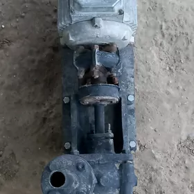 Suw nasos farsunka mangal