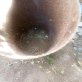 GALYN OJAK UCIN YA PEC UCIN