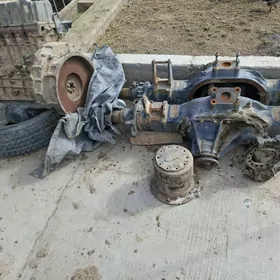 mator mos suprt gazan