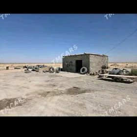 dusak wulkanzasiya arenda