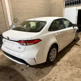Toyota Corolla 2021