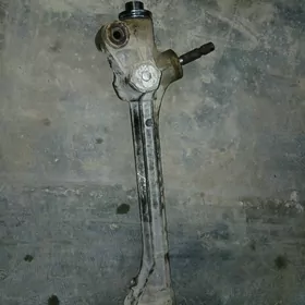 rulawoÿ kalonka haÿlander