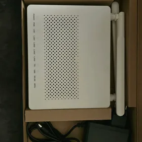 gpon router