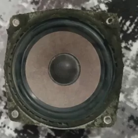 gapy kalonla tarpeda misalka