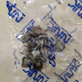 Klapyn salnik Omega 2,4.2,6.30