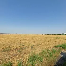 Anew 9 gektar önümçilik