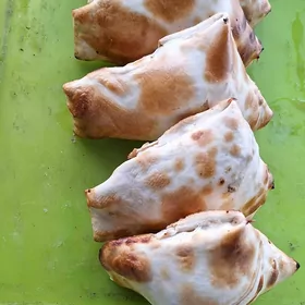 Tamdyr somsachy gerek