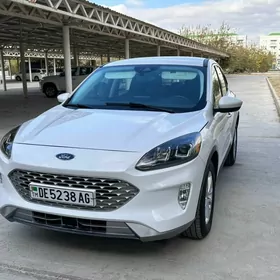 Ford Escort ZX2 2021