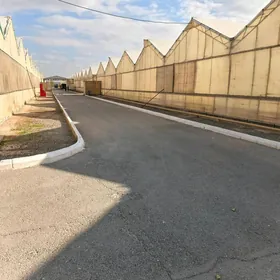 IŞGAR GYZ GELIN OGLAN ALYAS