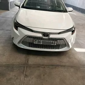 Toyota Corolla 2020