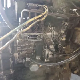 Forland mator yaşyl