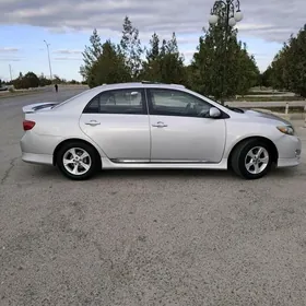 Toyota Corolla 2010