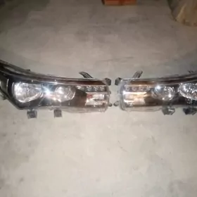 fara karola2014 2015