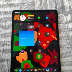 ipad pro 11-дюмовый