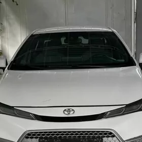 Toyota Corolla 2019