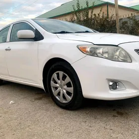 Toyota Corolla 2010