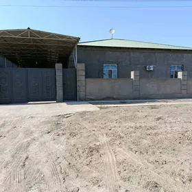 gülüstan howly jay