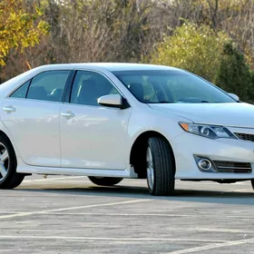 Toyota Camry 2013