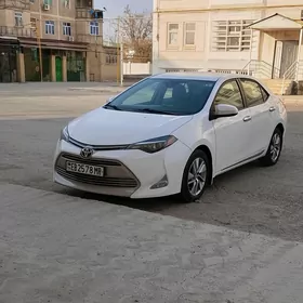 Toyota Corolla 2019