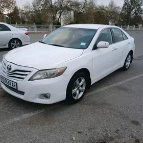 Toyota Camry 2010