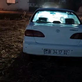 Toyota Corolla 1998