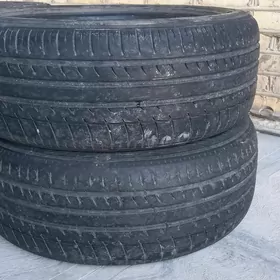 215/55R17 Pakrişga