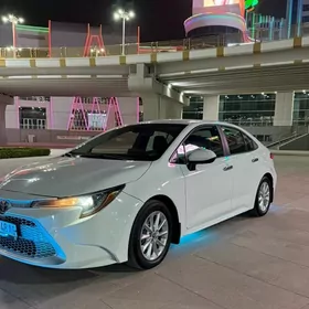Toyota Corolla 2023