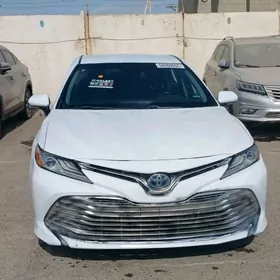Toyota Camry 2020