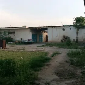 Satlyk mellek 6 sotok