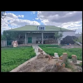 satlyk bagyr plan howly