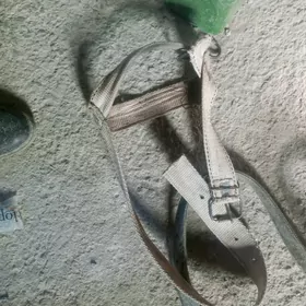 NOGTA ULY MAL ÇÇIN