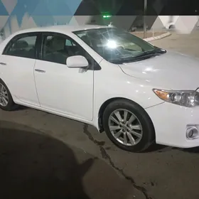Toyota Corolla 2011