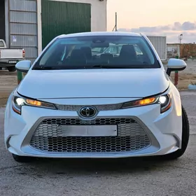 Toyota Corolla 2020
