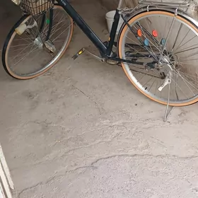 27lik tigire söz yok